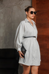 Classic Shirt Collar WW Dress