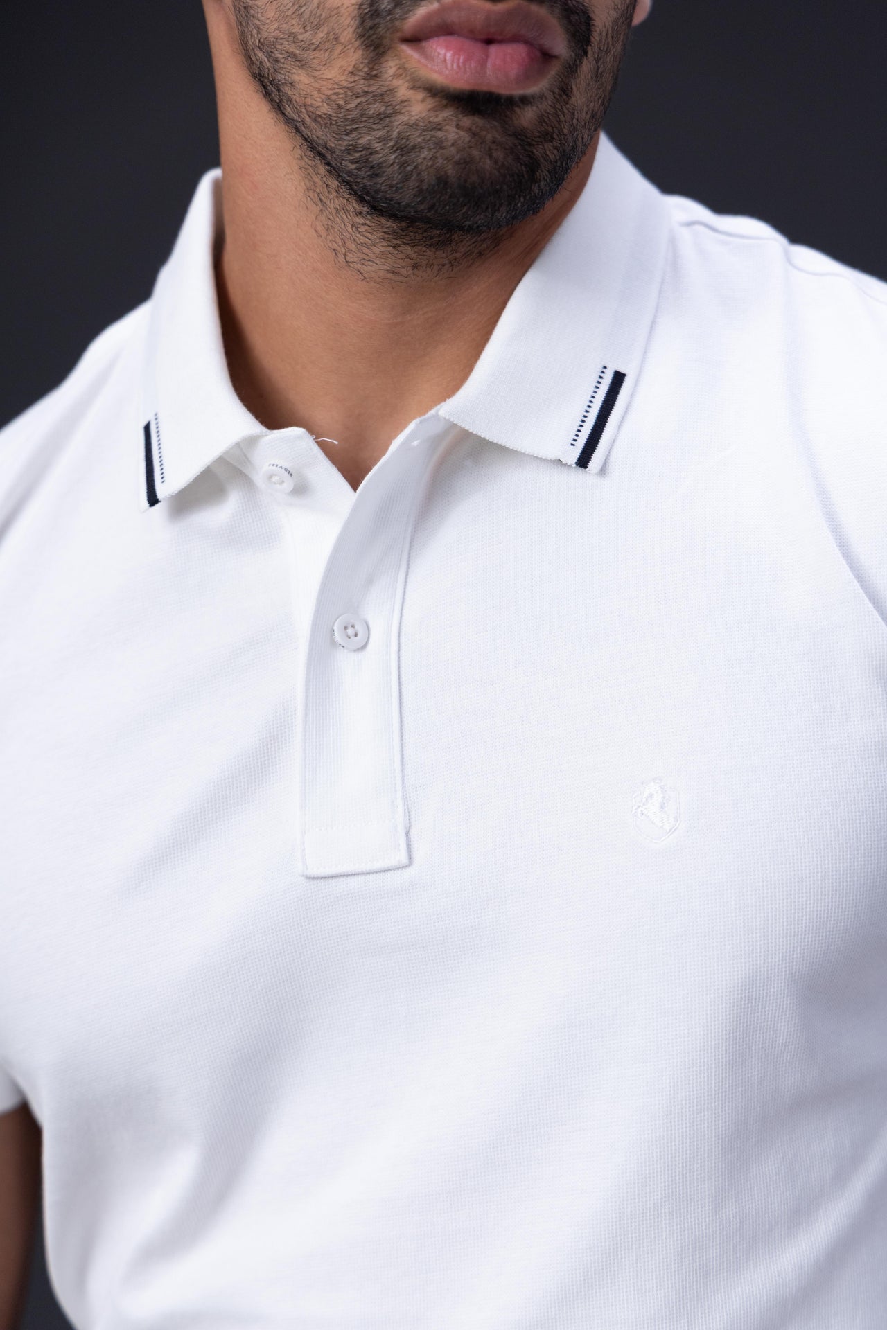 The Refined Tipped Collar Polo