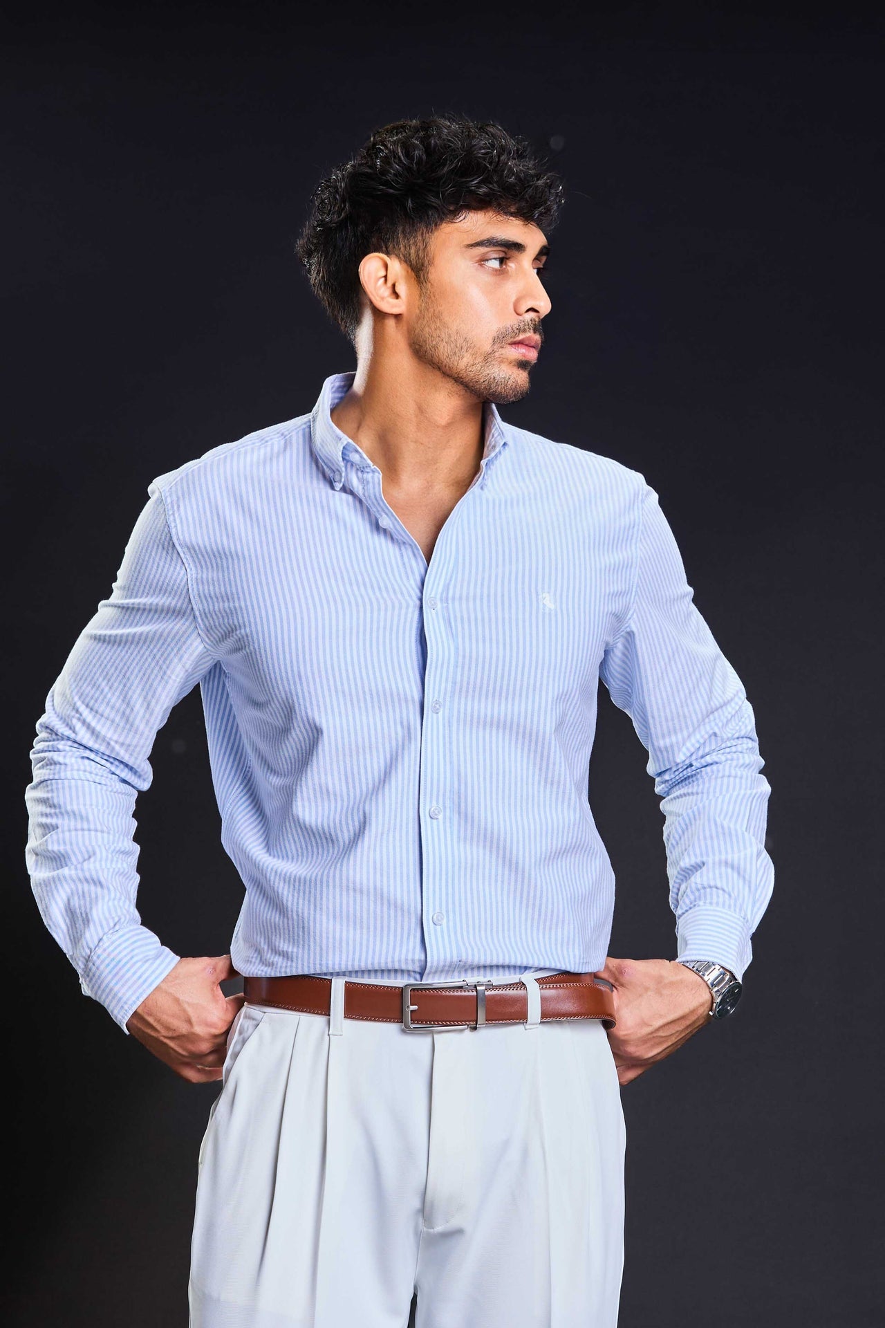The Madison Stripe Shirt